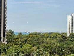 Bayshore Park (D16), Condominium #622625391